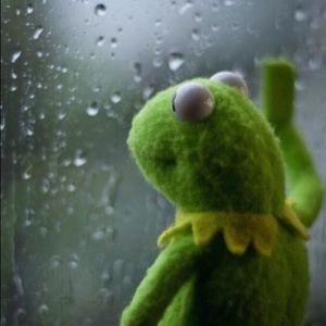 Meet your Posher, Cami